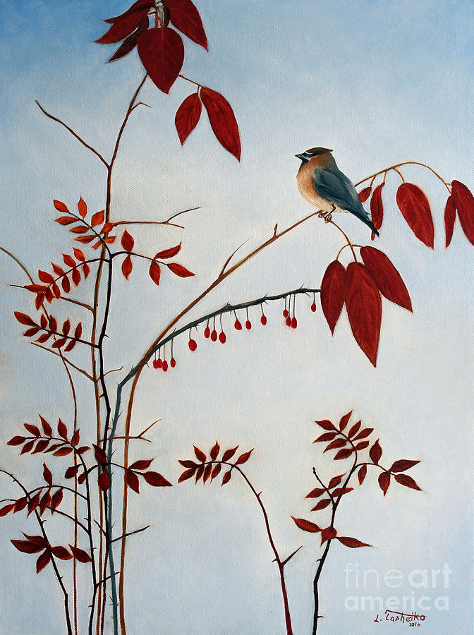 Bird Painting - Cedar Waxwing by Laura Tasheiko