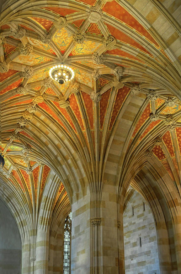 Ceiling In Sterling Memorial Library Photograph by Dave Mills