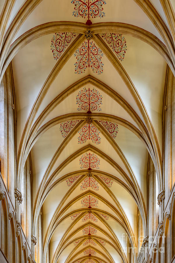 Ceiling, Wells Cathedral. Photograph by Colin Rayner