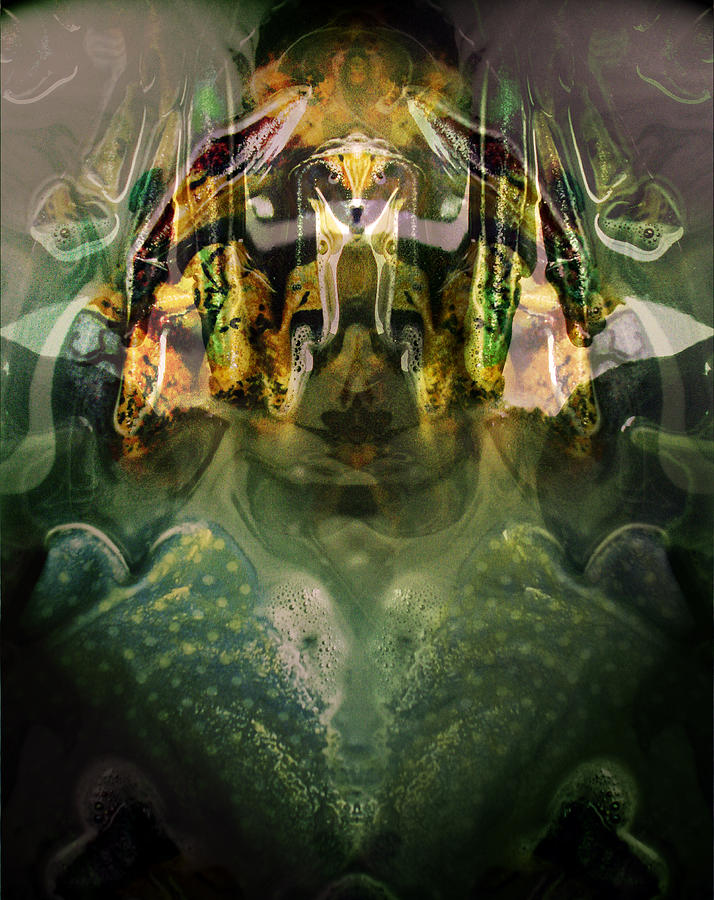 Kaleidoscopic Digital Art - Celerian by Lynda Lehmann
