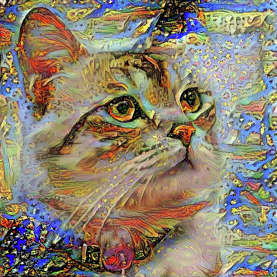 Celeste the Star Gazing Cat Digital Art by Peggy Collins