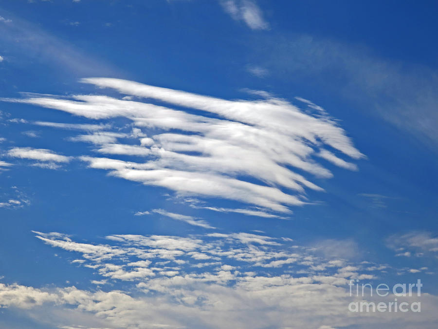 Celestial Brush Strokes Photograph by Rick Locke - Out of the Corner of My Eye