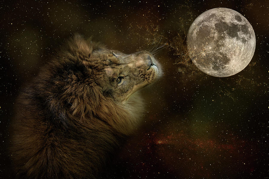 Celestial Lion Photograph by Jai Johnson