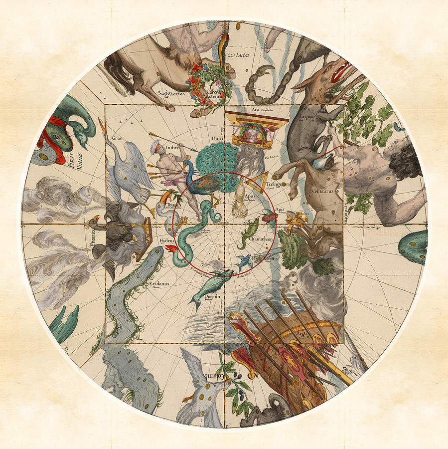 Celestial Map -  Constellations - Hydra, Indus, Centaurus, Lupus - Illustrated map of the Sky Drawing by Studio Grafiikka