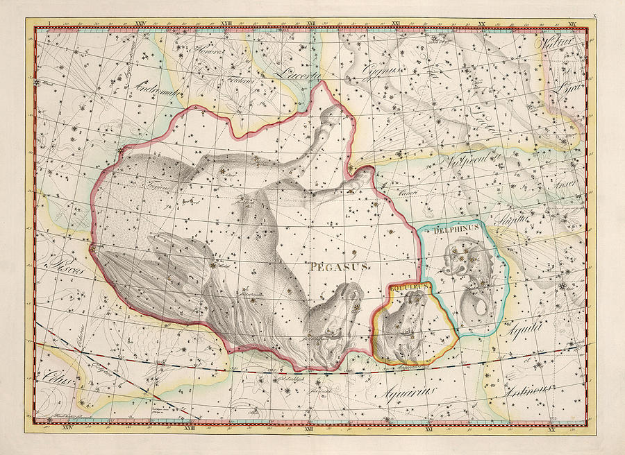 Celestial Map - Map of the Constellations - Pegasus, Equuleus, Delphinus - Astronomical Chart Drawing by Studio Grafiikka