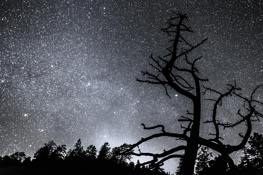 Celestial Stellar Dark Universe Photograph by James BO Insogna