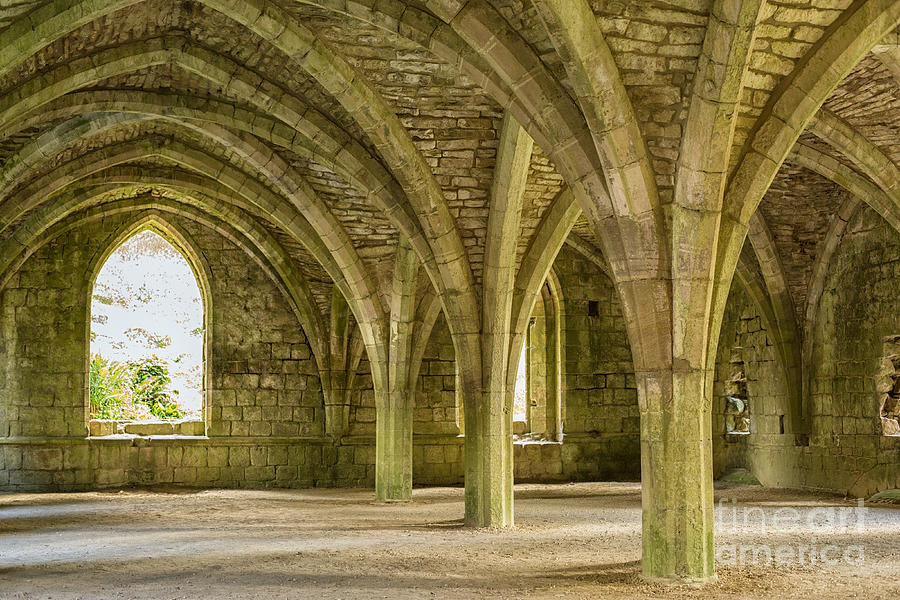 Cellarium at Fountains Abbey Photograph by Patricia Hofmeester
