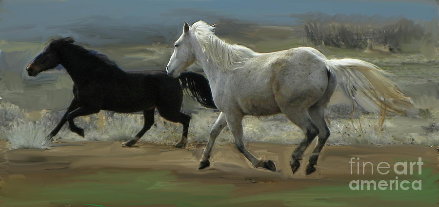 Cello and Greyboy Playing by Dawn Senior-Trask Cello and Greyboy Playing by Dawn Senior-Trask
