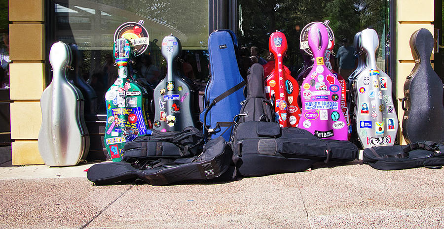 Cello Cases - Madison - Wisconsin Photograph by Steven Ralser