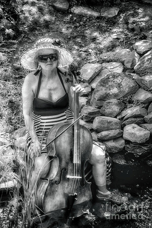 Cello Photograph - Cello Cultivation  by Steven Digman