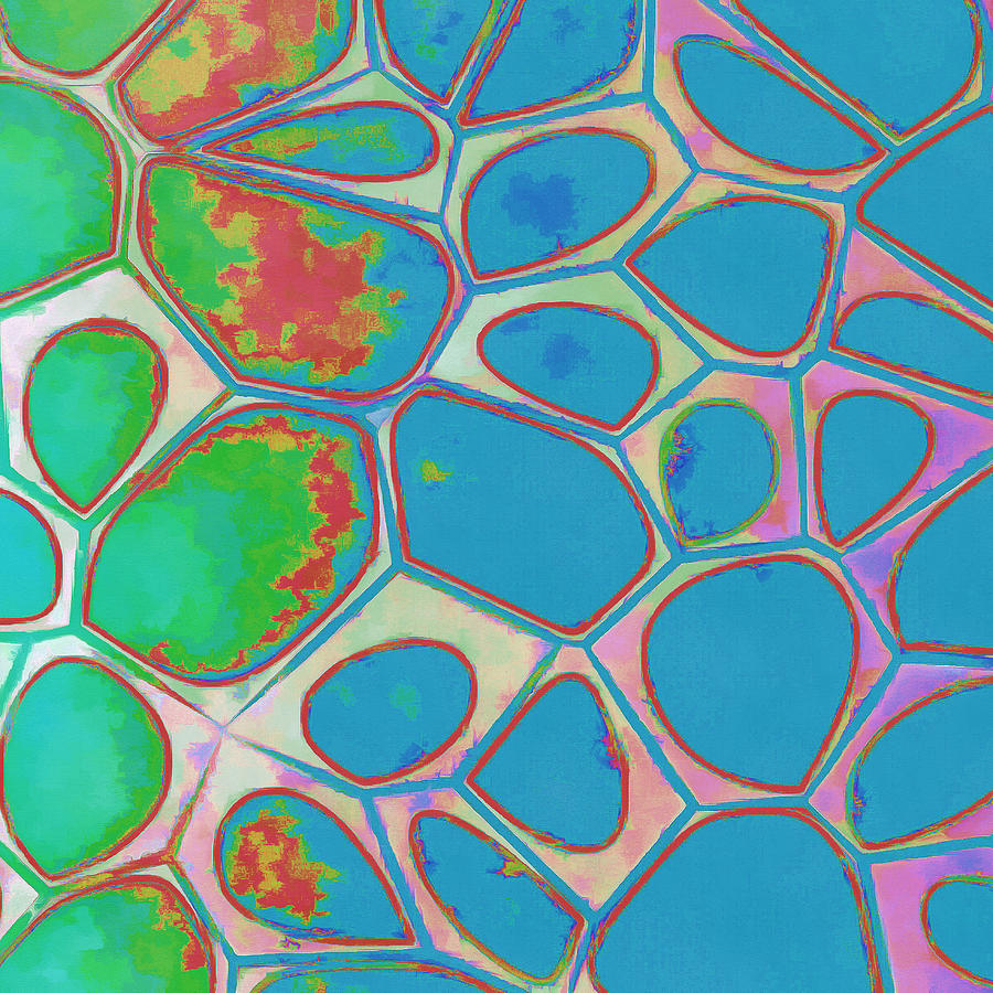 Abstract Photograph - Cells Abstract Three by Edward Fielding