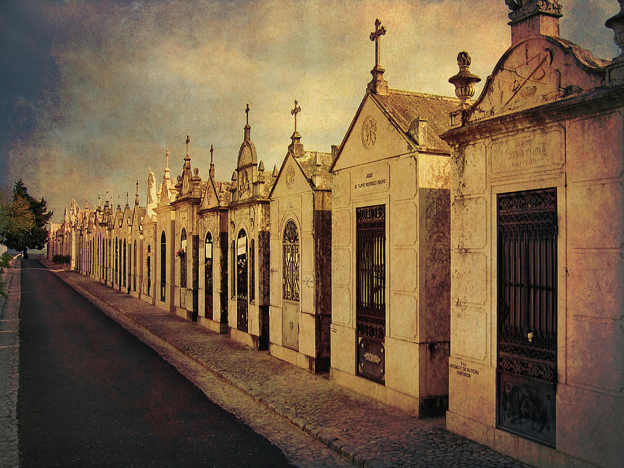 Cemetary in Santarem Portugal Photograph by Menega Sabidussi