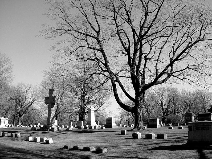 Cemetery 5 Photograph by Anita Burgermeister