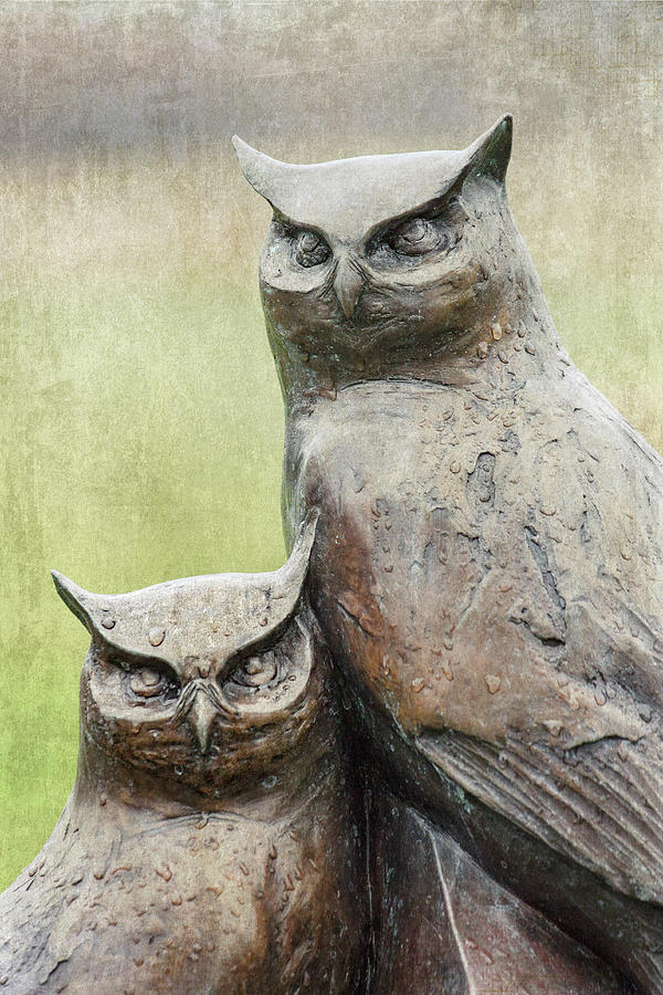Cemetery Art Two Owls in the Rain Photograph by Carol Leigh