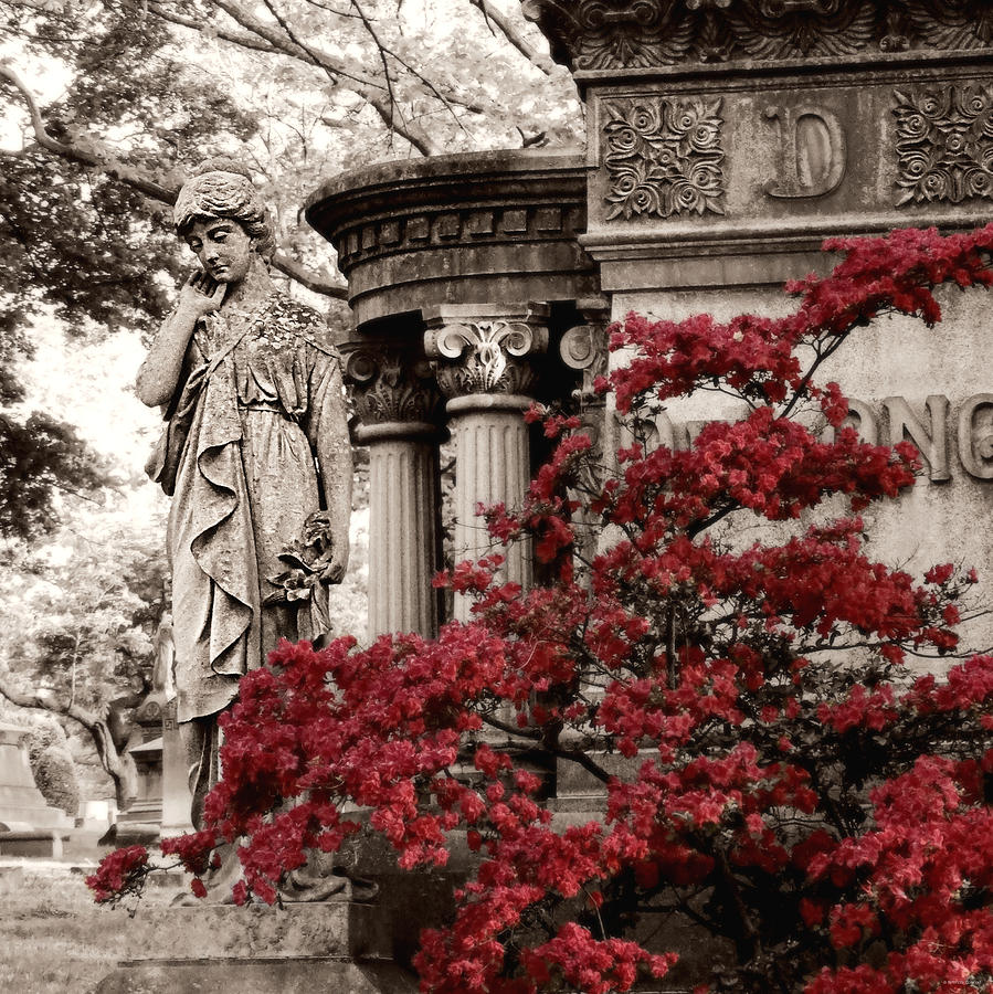 Cemetery Azalea Photograph by Dark Whimsy