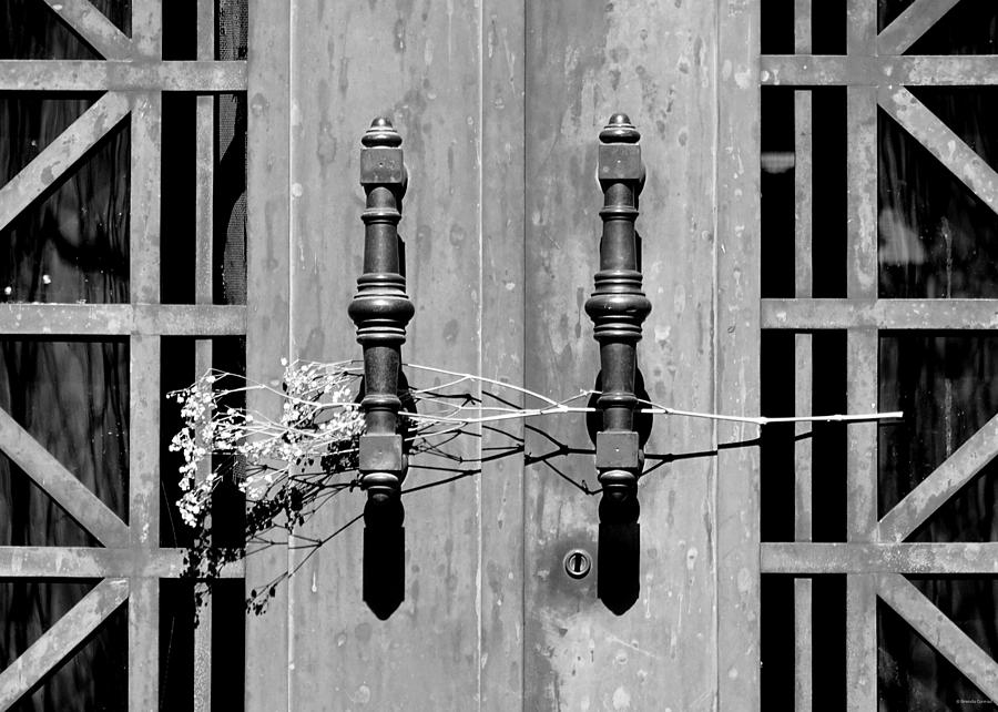 Flower Photograph - Cemetery Door 8 by Dark Whimsy