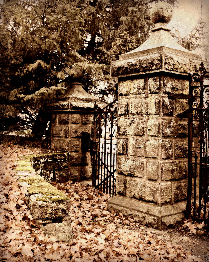 Fall Photograph - Cemetery Gate by Dark Whimsy