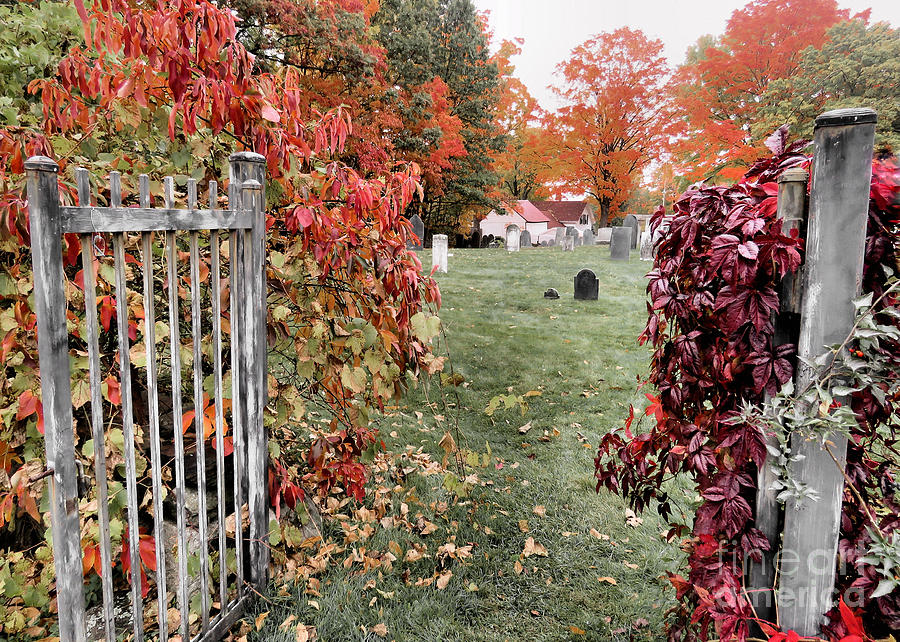 Cemetery Gate Photograph by Janice Drew