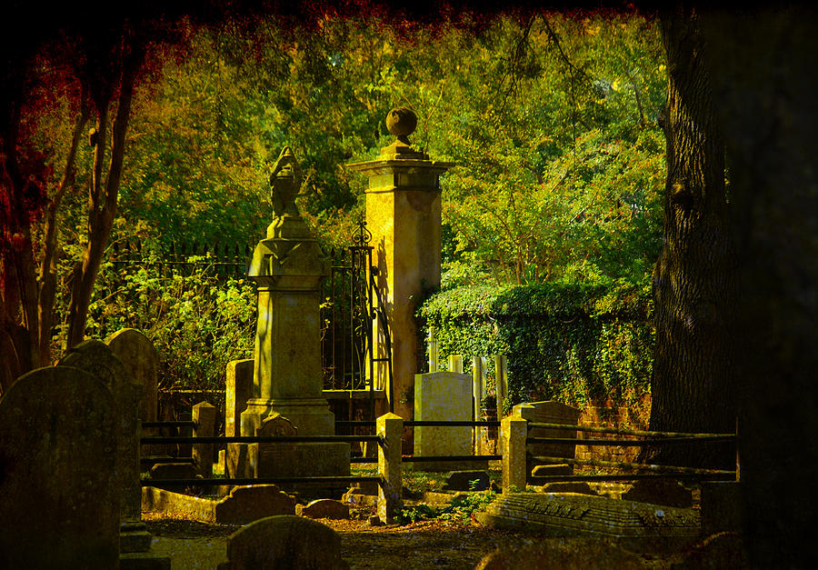 Vintage Photograph - Cemetery in Charleston by Susanne Van Hulst