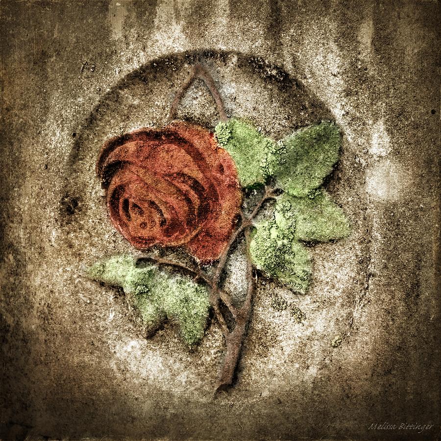 Cemetery Rose Photograph by Melissa Bittinger