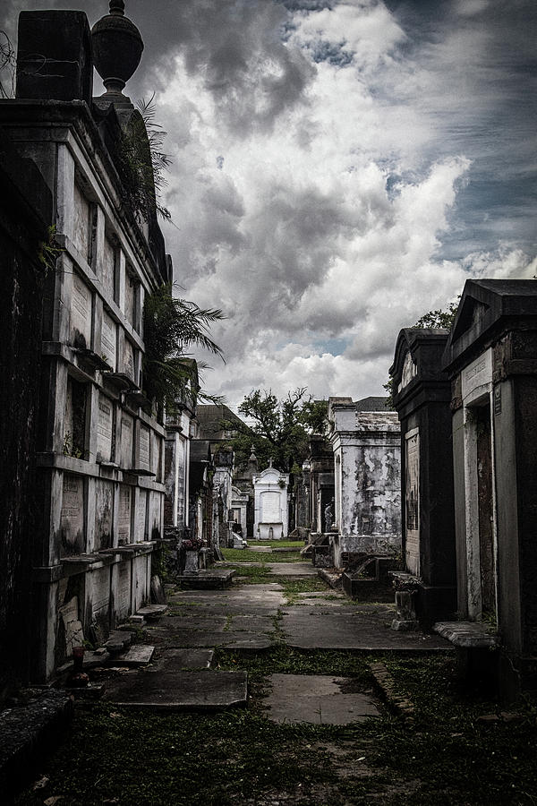 Cemetery Row Photograph
