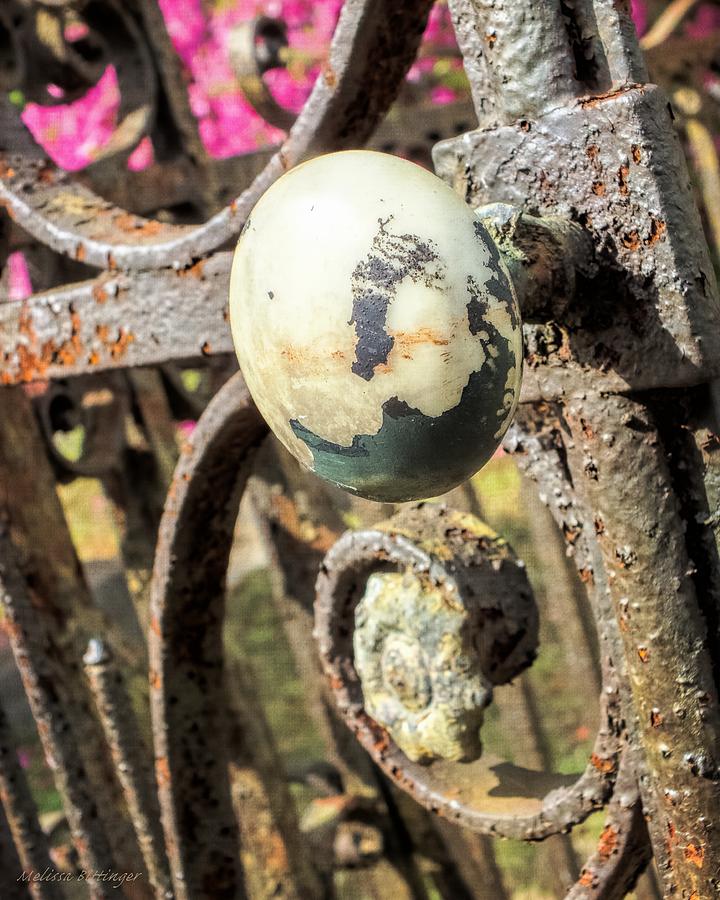 Cemetery Rusted Gate and Knob Photograph by Melissa Bittinger