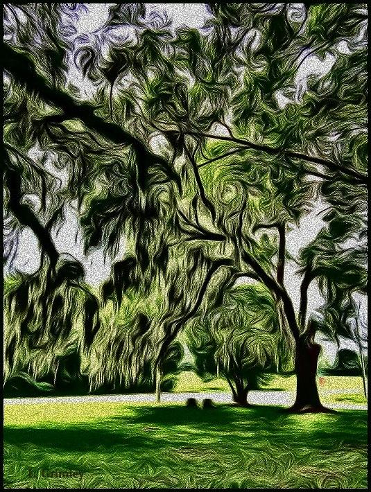 Cemetery Trees Digital Art by Lessandra Grimley