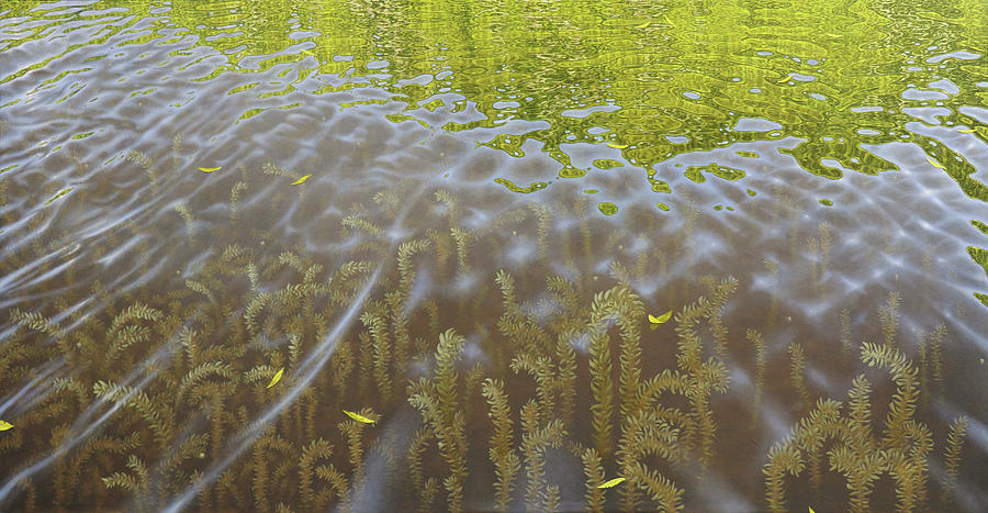 Cenaiko Lake Painting by Timothy Jones