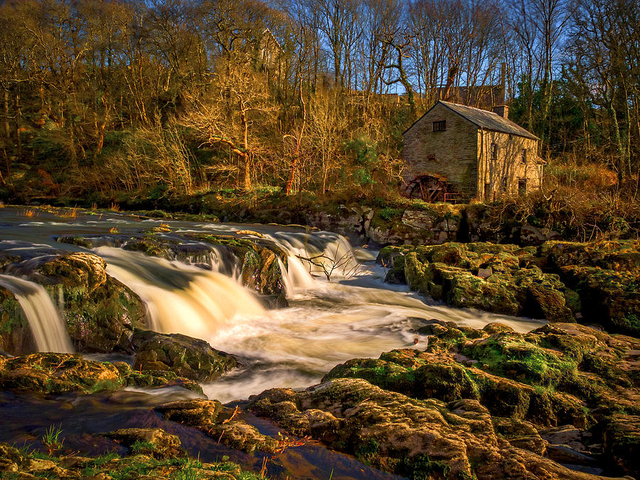 Cenarth Falls and Mill Photograph by Mark Llewellyn