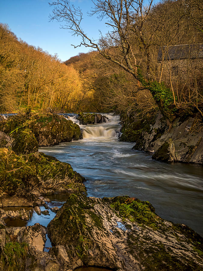 Cenarth Falls Photograph by Mark Llewellyn