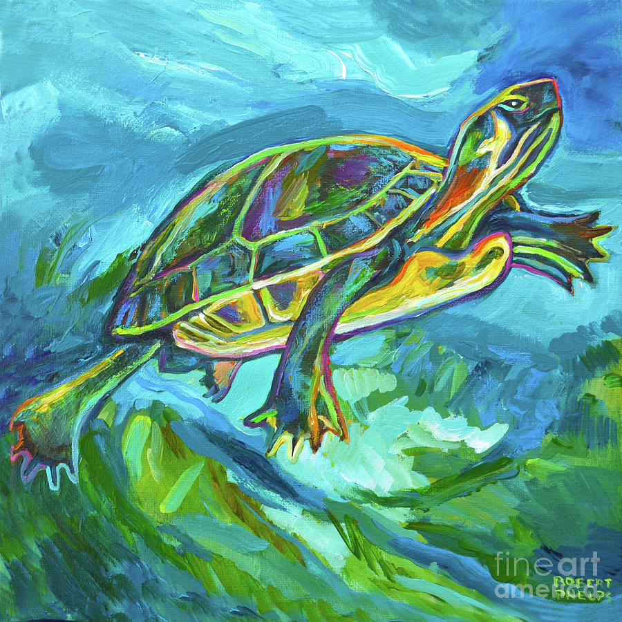 Cenote Turtle Painting by Robert Phelps - Fine Art America