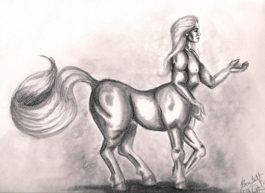 Centaur Drawing by Scarlett Royale