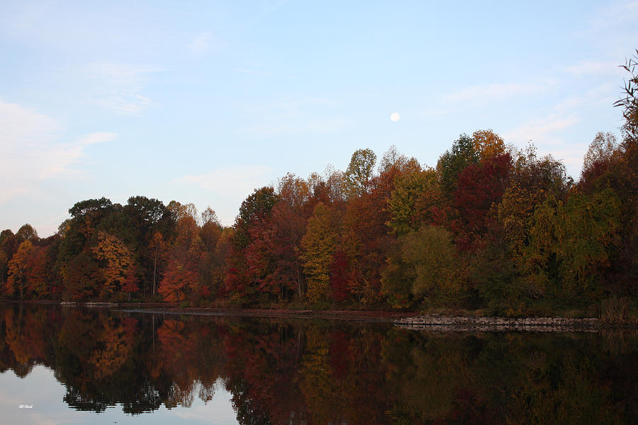 Centennial Lake Autumn - Northeast Colors Photograph by Ronald Reid