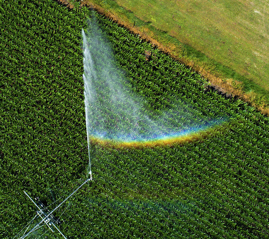 Irrigation Photograph - Center Pivot Rainbow by Mark Dahmke