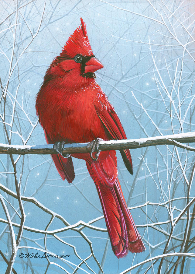 Red Bird Painting - Center Stage by Mike Brown