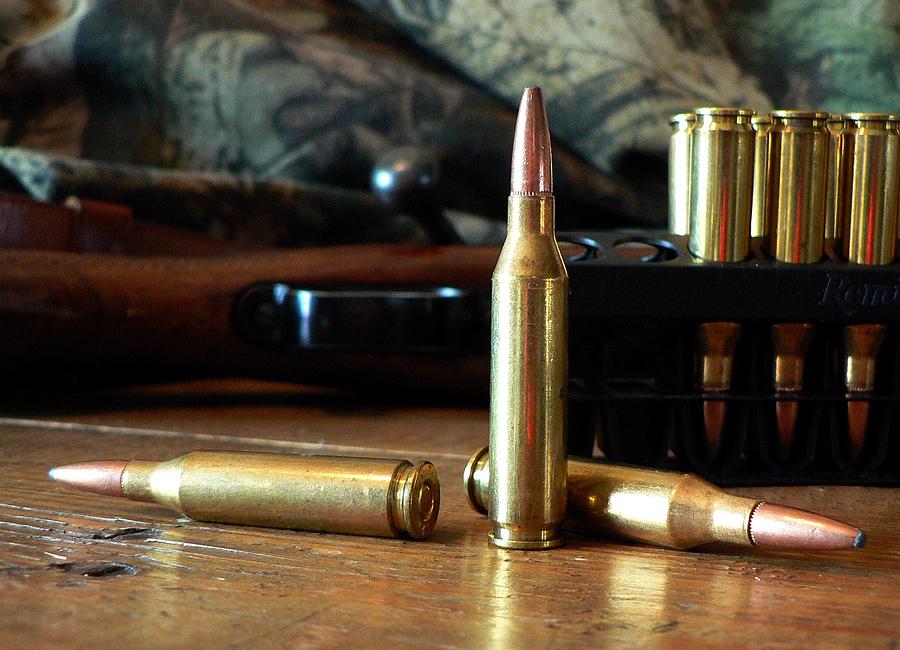 Centerfire Rifle Cartridges Photograph by Buck Buchanan