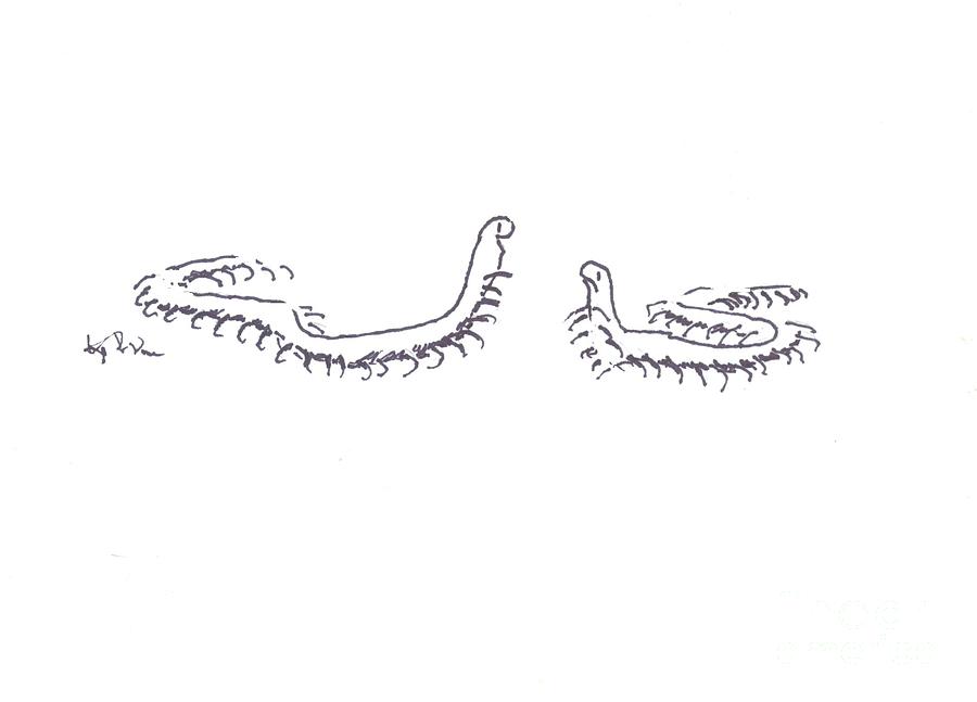 Centipedes In Discussion Cartoon Painting