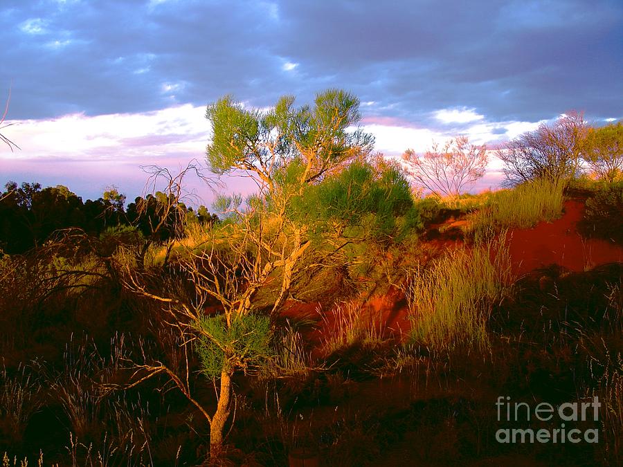 Sunset Photograph - Central Australia II by Louise Fahy