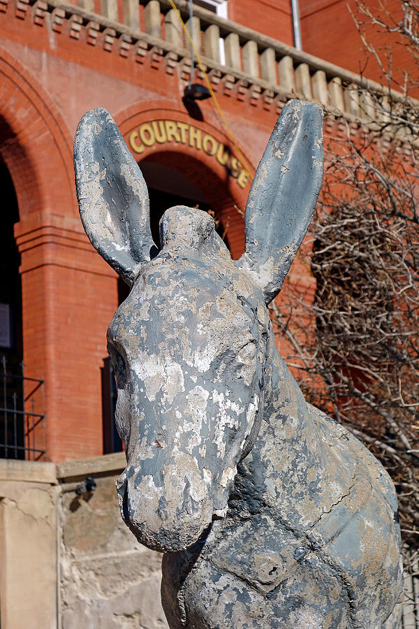 Central City Courthouse Donkey Photograph by Robert Meyers-Lussier