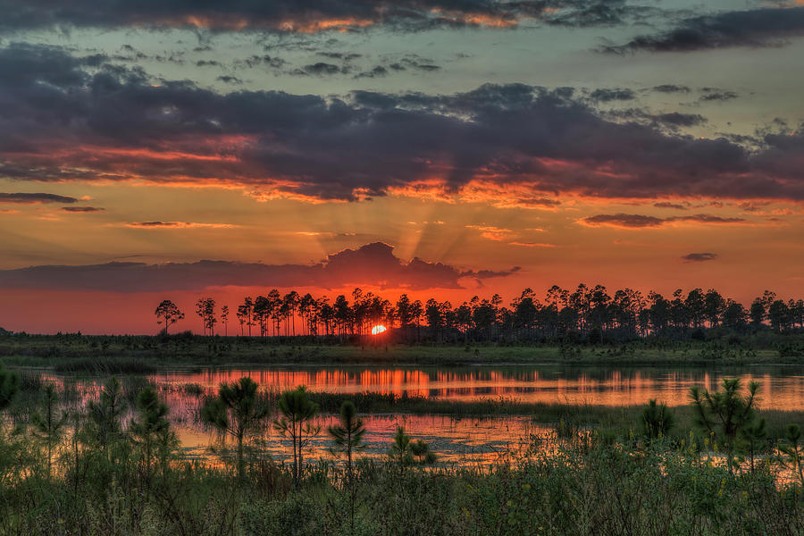 Central Florida Photograph by Justin Battles
