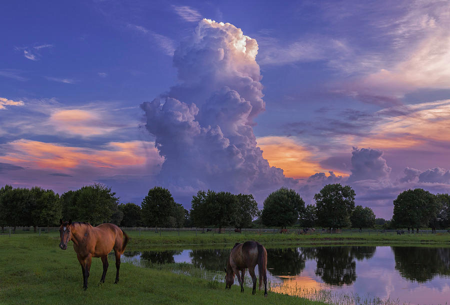 Central Florida Summer Photograph by Justin Battles