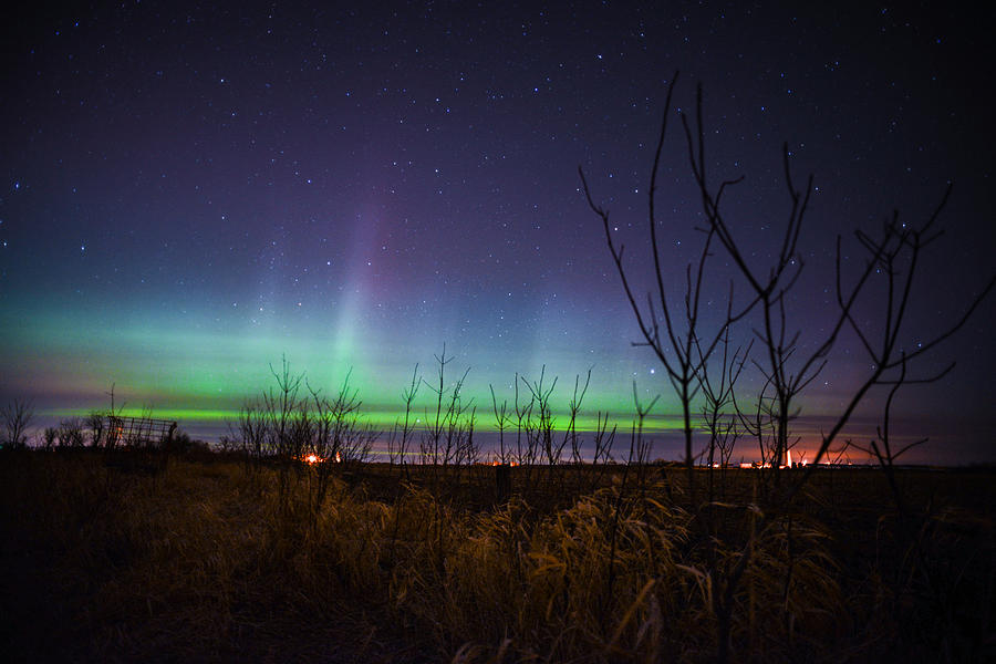 Farm Photograph - Central Minnesota Aurora by Alex Blondeau