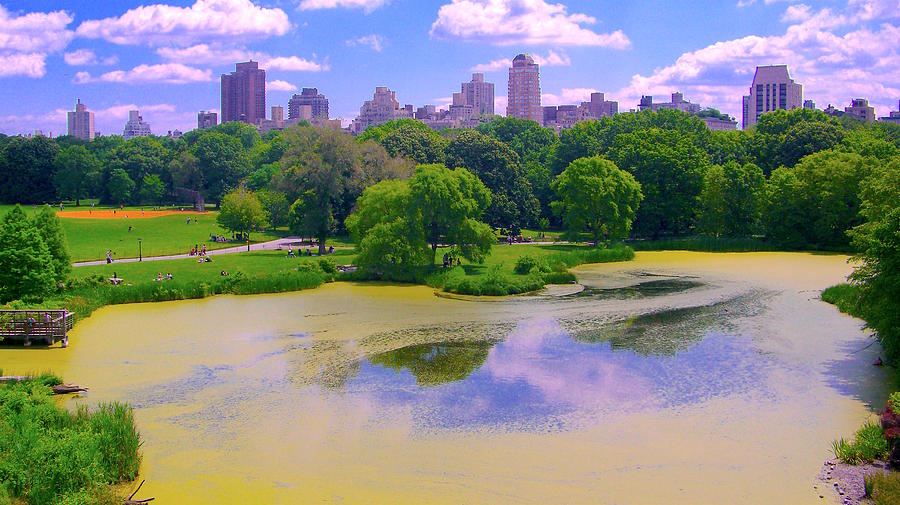 Central Park and Lake, Manhattan NY Photograph by Monique Wegmueller