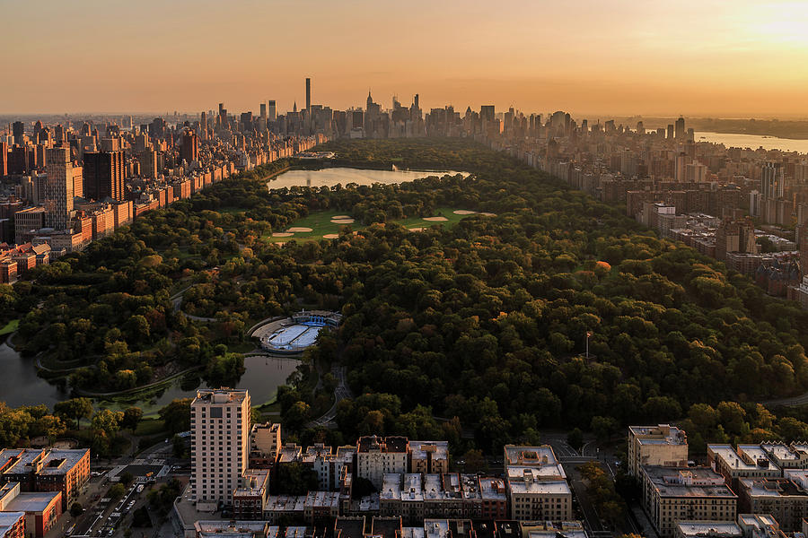Central Park by Anthony Fields Central Park by Anthony Fields