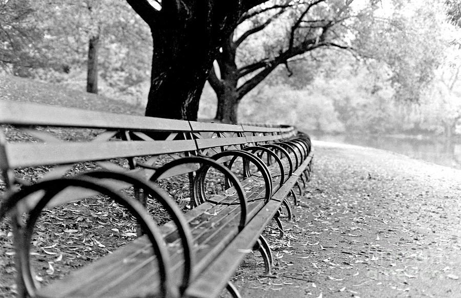 Central Park At Rest Photograph by Patrick Dablow