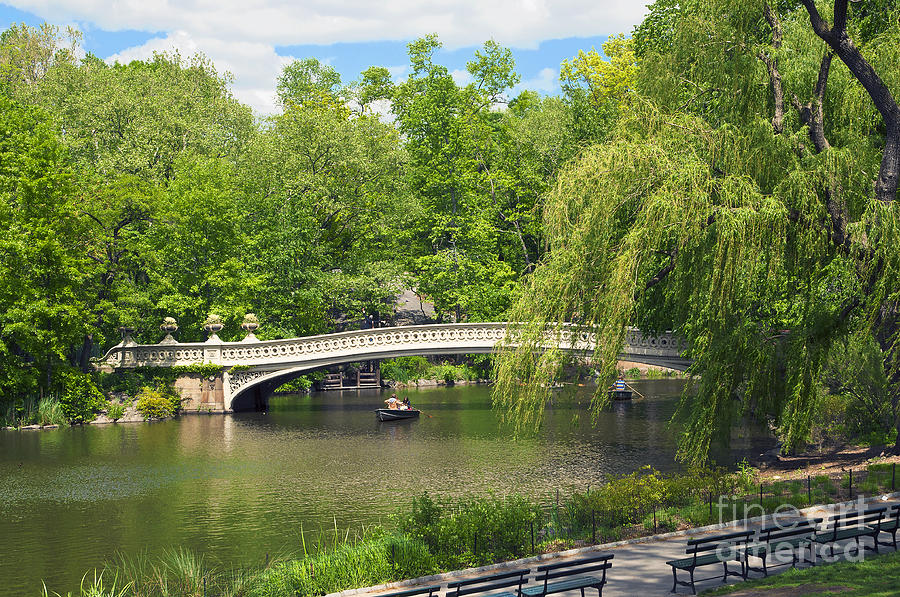 Central Park Bow Bridge In Spring II Photograph by Regina Geoghan