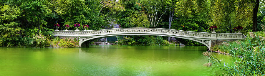 Central Park Bow Bridge Panoramic Photograph by TL Mair