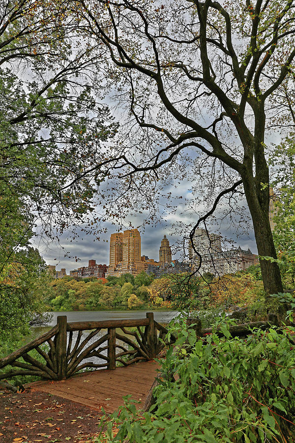 Central Park from the Brambles Photograph by Doolittle Photography and Art