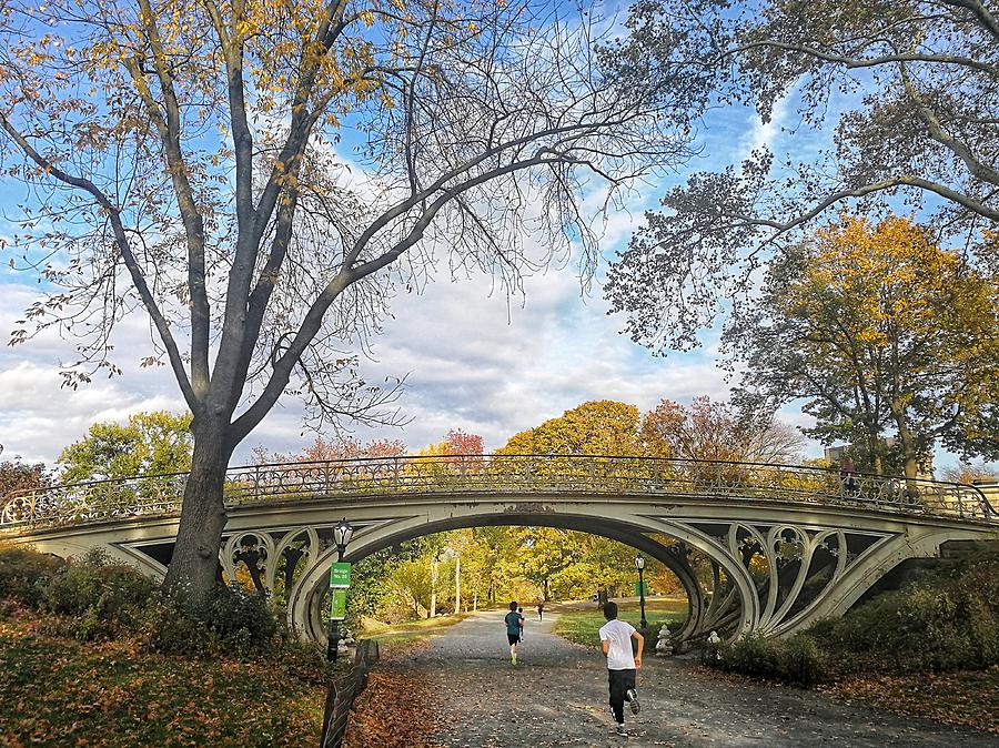 Central Park Photograph - Central Park Bridge by Cameron Dixon Central Park Photograph - Central Park Bridge by Cameron Dixon