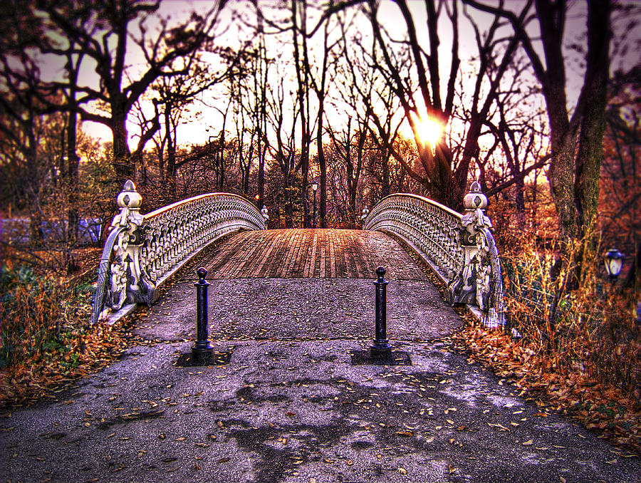 Central Park Bridge Photograph by Tammy Wetzel